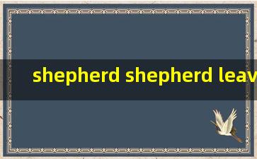 shepherd shepherd leave decoying